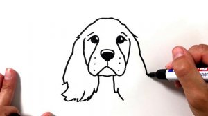 How to Draw a Cocker Spaniel Dog