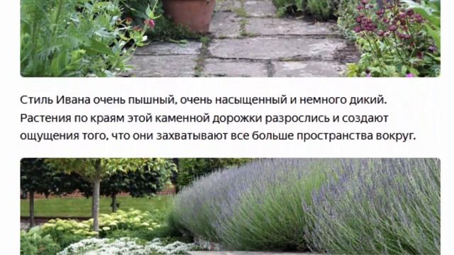 Наперстянка Вербейник Шалфей Густые насаждения для дикой красоты Уроки у талантливого садовода