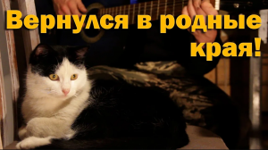 Вернулись в деревню. Чего, спрашивается, ездили