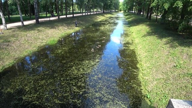 Александровский парк в городе Пушкин, что посмотреть и куда сходить