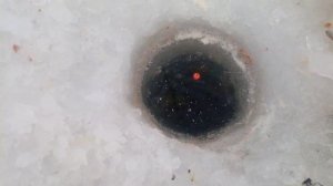 Ловля плотвы зимой в глухозимье на реке Дема