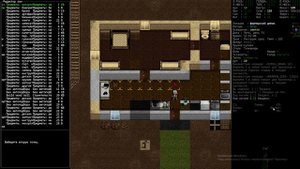 Гайд по Cataclysm DDA (Dark Days Ahead) #1. Настройка склада.