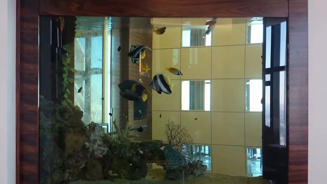 Аквариум на просвет. смотреть онлайн