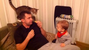 Ребенок и кот делят еду