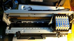 Принтер Epson Stylus Photo R220 выдает ошибку