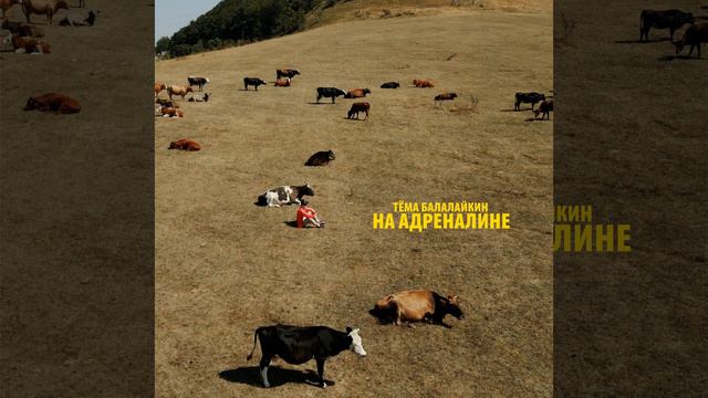 НА АДРЕНАЛИНЕ