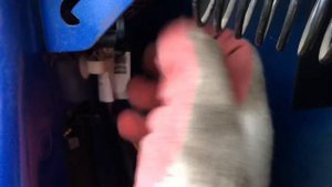 Как снять задний фонарь Renault Logan