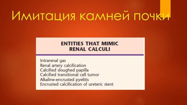 УЗИ почек. Станислав Феданов.