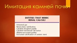 УЗИ почек. Станислав Феданов.