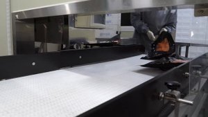 завод по переработке лосося / Корейская пищевая фабрика