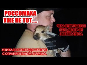 КАБАНЧИК С ИЗЮМОМ