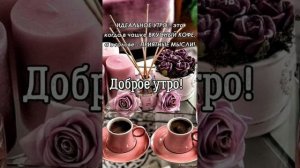 Доброе утро♥️ Хорошего дня?