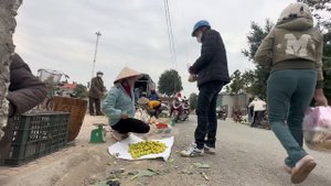 The Life Single Mother - Harvesting apples to sell, bad guys break in and steal things