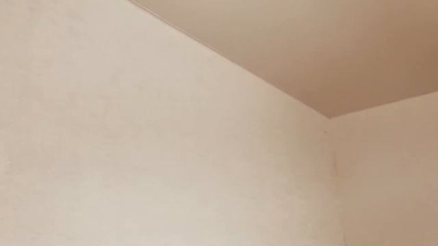 Вставка на натяжном потолке смотреть онлайн