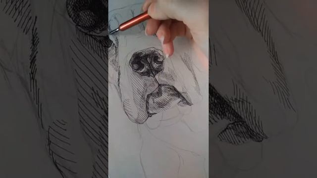 Рисование тушью смотреть онлайн