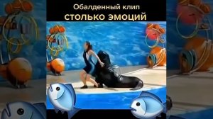 Dancing with a navy seal     Танец с морским котиком