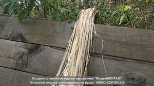 МОЧАЛКА ИЗ ЛИПЫ СВОИМИ РУКАМИ