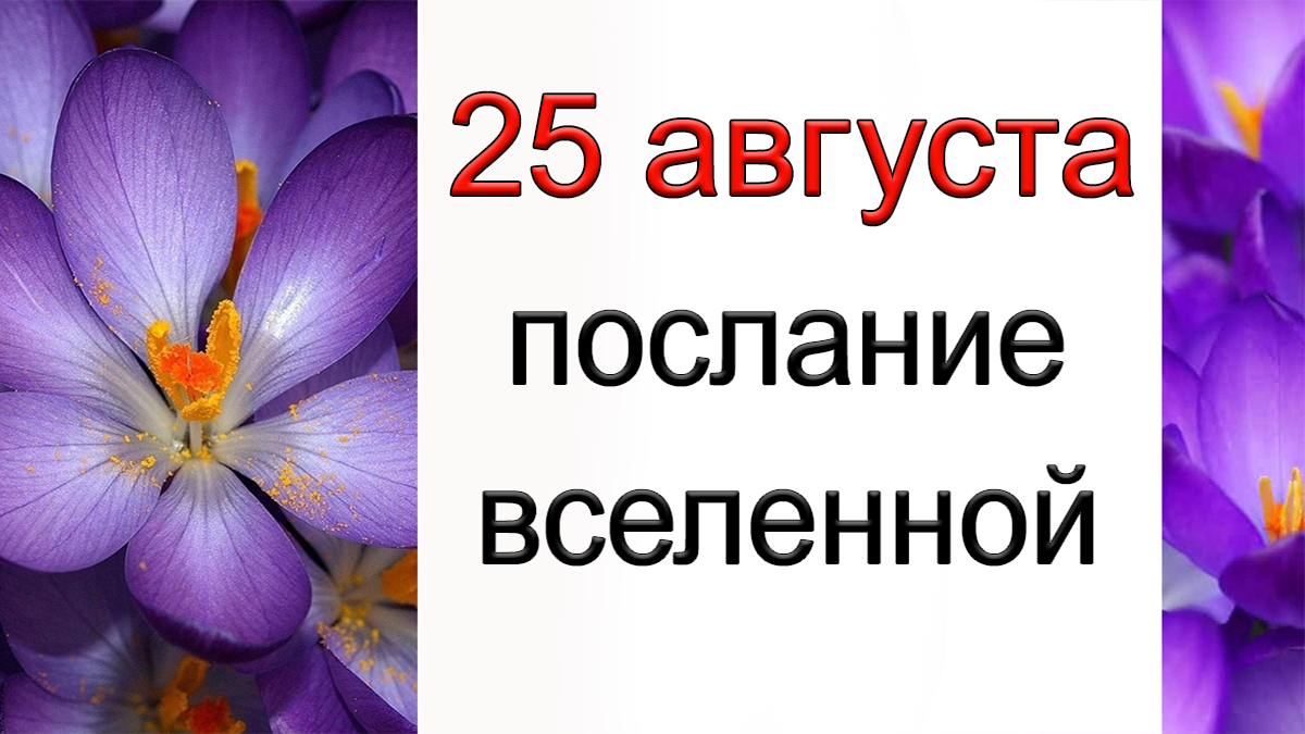 ПОСЛАНИЕ ВСЕЛЕННОЙ на 25 августа.*Эзотерика Для Тебя*
