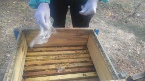 Что делать если у пчёл мало мёда перед зимовкой.