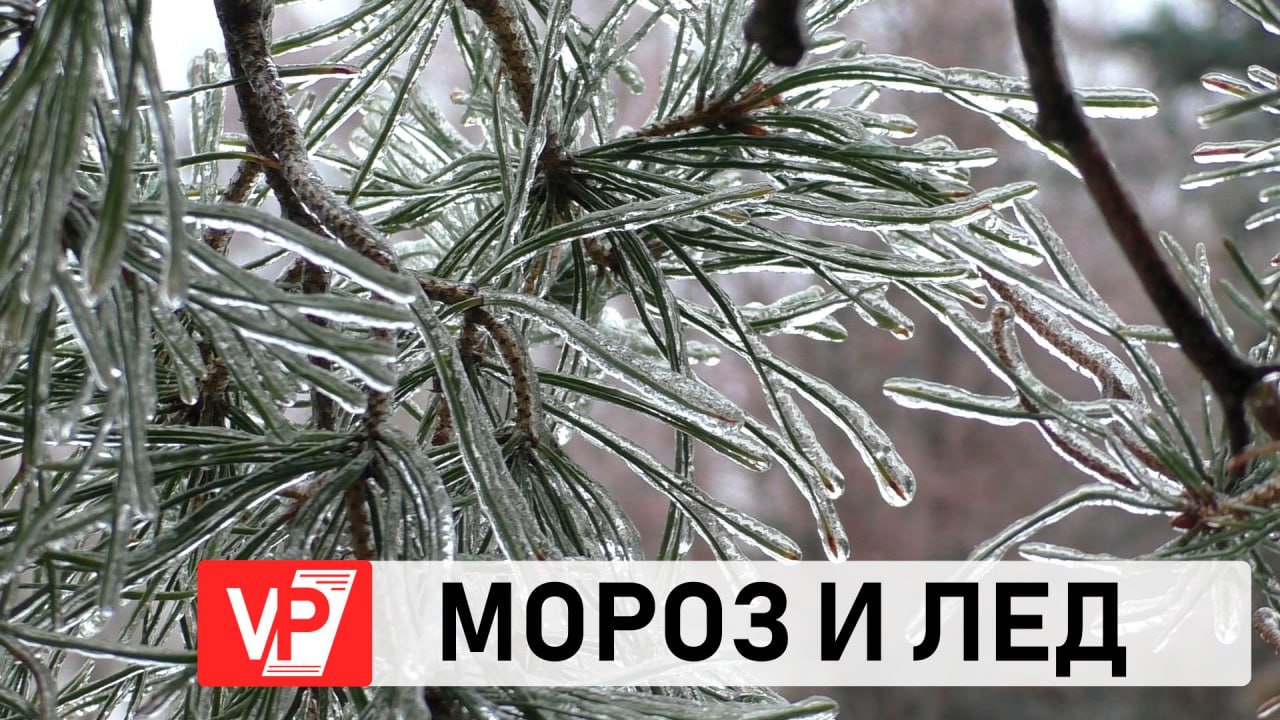 В ВОЛГОГРАДЕ ПОХОЛОДАНИЕ ПРЕВРАТИЛО ПОСЛЕДСТВИЯ ДОЖДЯ В ЛЕД