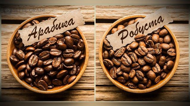 А вы ЭТО знали? Малоизвестные факты о кофе смотреть онлайн