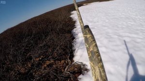 Охота на гуся 2020. Тундра. Крайний Север. НАО.