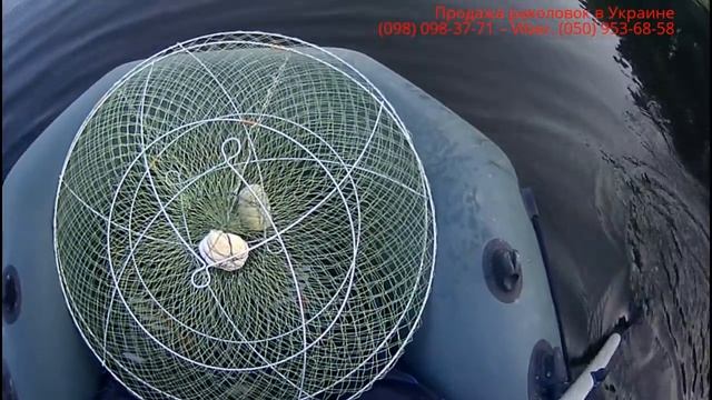 ГДЕ ЖИВУТ И ЧТО ЕДЯТ РАКИ. КАК НАЙТИ РАКОВ, РАКОЛОВКИ, МЕСТА ОБИТАНИЯ РАКОВ. Ловля раколовками. смотреть онлайн