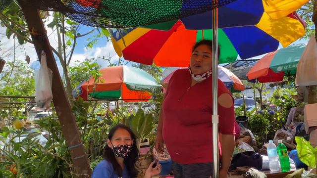 Plants and Fruit trees shopping at TAGAYTAY MAHOGANY MARKET смотреть онлайн