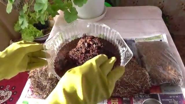 Кокосовый субстрат полезные свойства и применение. Мульчирование смотреть онлайн