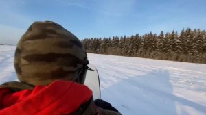 Езда  на Снегоходе буран по полю. Зимний отдых. Гатчина / лес / природа