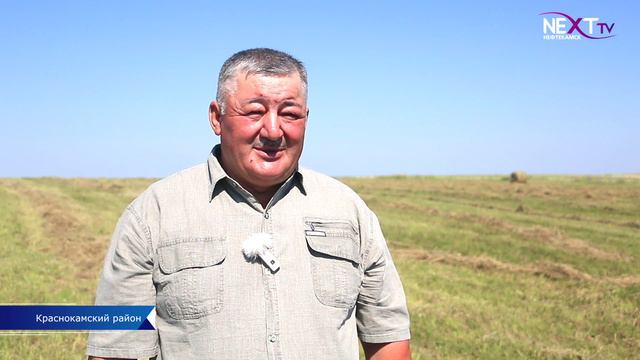 Аграрии приступили к кормозаготовке