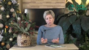 ТОЛЬКО НЕ СМЕЙТЕСЬ! ЛОХ СЕРЕБРИСТЫЙ - ПРЕКРАСНЫЙ КУСТАРНИК!