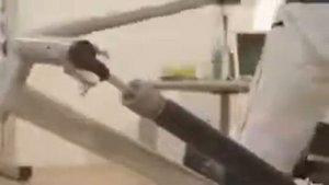 Kettler Rudergerät Kadett von k fitshop de