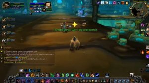 #89. ПАРОВОЕ ПОДЗЕМЕЛЬЕ. World of Warcraft: Wrath of the Lich King. (WoW Circle x1)