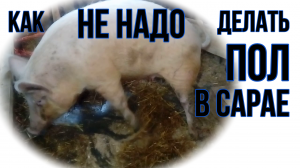 ОБЗОР СВИНАРНИКА | КАК НЕ НАДО ДЕЛАТЬ ПОЛЫ