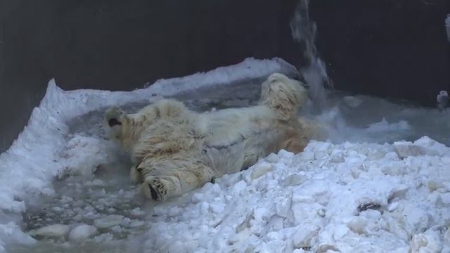 Кай принимает душ. 17.03.2023 смотреть онлайн