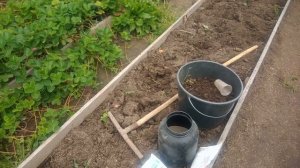 Как подготовить грядку под чеснок осенью