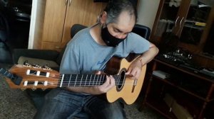 guitarra con corte jacaranda abeto ebano