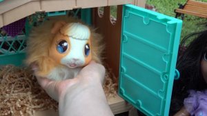 Little Live Pets Mama Surprise Guinea Pig with 3 Surprise Babies with Encanto Mirabel and Isabela