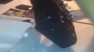 Обзор компьютерного симулятора Realflight 6.5