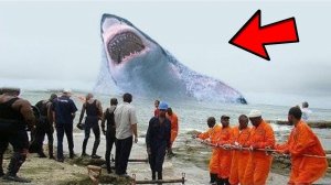 9 Самых Больших Существ, Когда Либо Живших На Земле