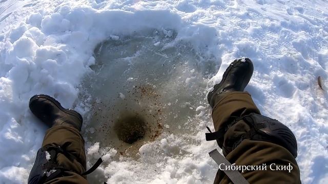 Чебак Жгёт/Удочка Трещала/Ловля Сибирского Чебака