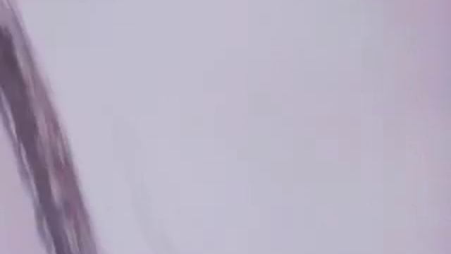 Муравей зима 2014 смотреть онлайн