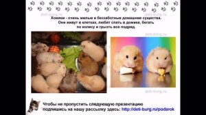 Домашние питомцы - детская презентация