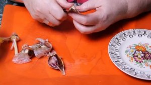 АДЖИКА ИЗ ПОМИДОР И ПЕРЦА - не просто готовлю, а РАСКРЫВАЮ  секреты ВКУСНОЙ АДЖИКИ