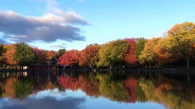 ТЕЩА И ЗЯТЬ: БАНЬКА С ТЁЩЕЙ!!! | Любовные истории смотреть онлайн