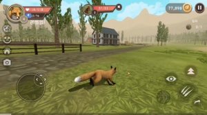 МИСТИКА НА ФЕРМЕ В WILDCRAFT №2  (Я вернулась на ютуб)