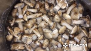 Отличный рецепт маринованных опят. Один из способов маринования грибов. Готовлю только так.