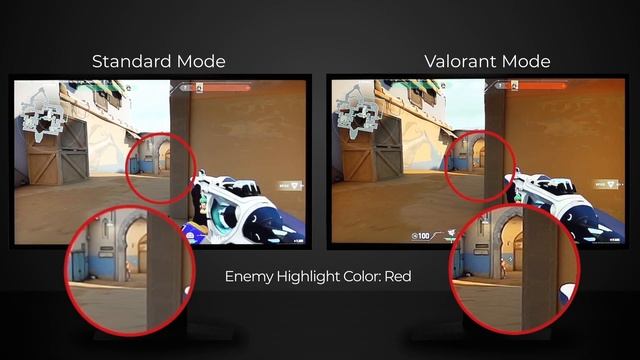 Interview with Cloud9: Which monitor settings help you in VALORANT gameplay? смотреть онлайн