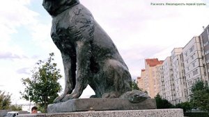 Тольятти. Символ преданности. Памятник Верному. Жизнь с онко выздоравливающим #тольятти #верный